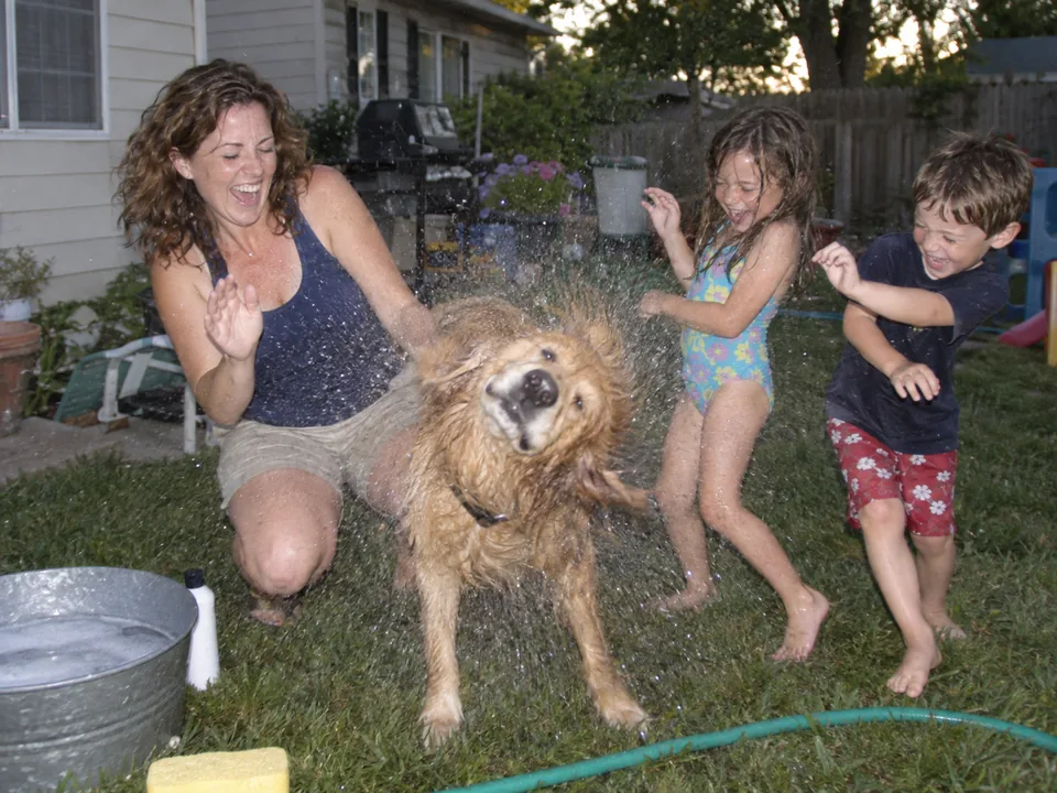 The dog shook—and soaked absolutely everyone., 2001.